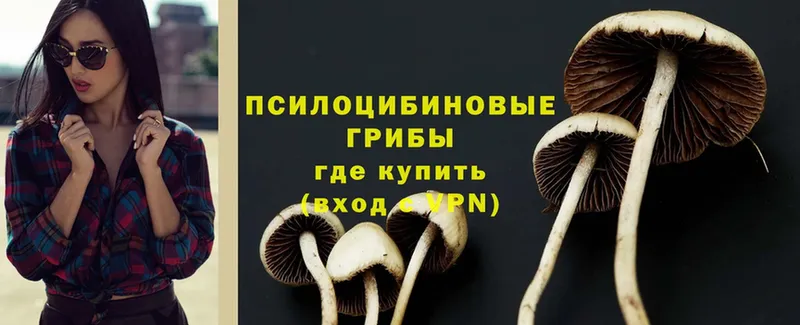 Псилоцибиновые грибы Magic Shrooms  KRAKEN ССЫЛКА  Томилино 